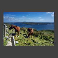 Connemara - Omey Island