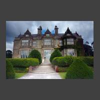 Muckross House II.