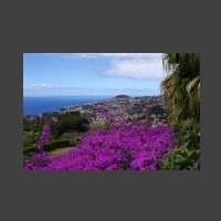 Funchal