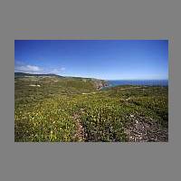 Cabo da Roca