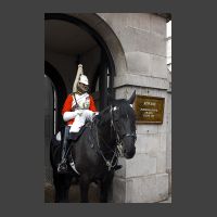 Horse Guard